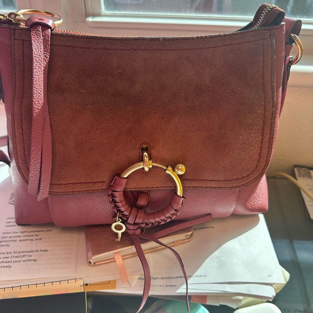 See By Chloe Burgundy Crossbody Bag. Burgundy is the color of the season. - Picture 7 of 17